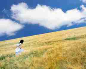 搜﻿索​语​扉﻿